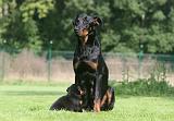 TETER - BEAUCERON 004